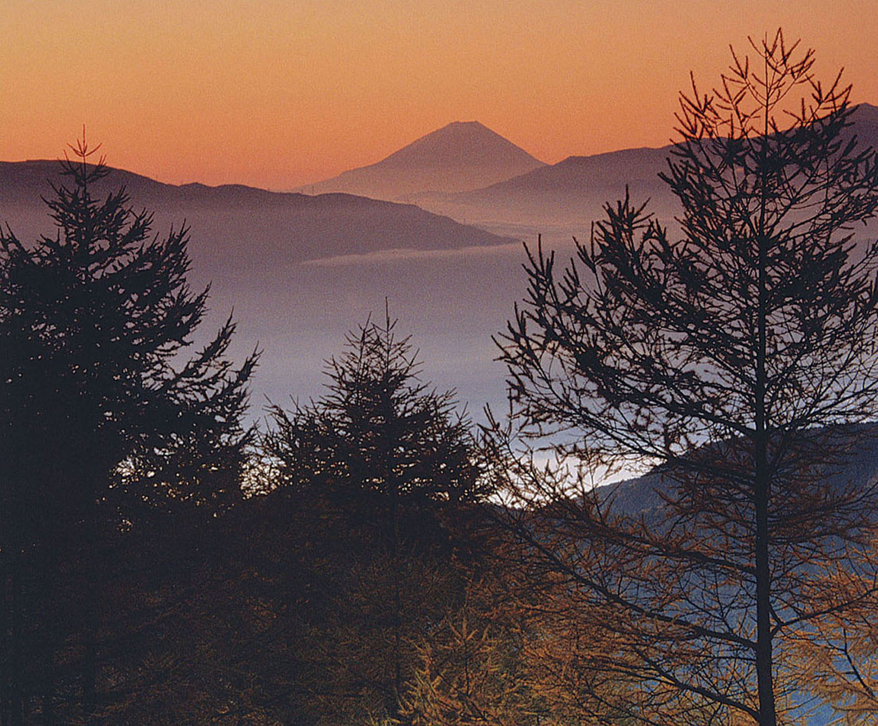 Mt. Fuji